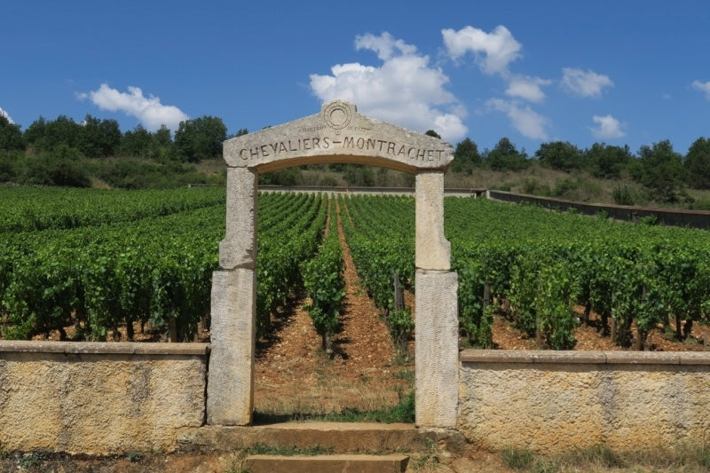 Puligny-Montrachet