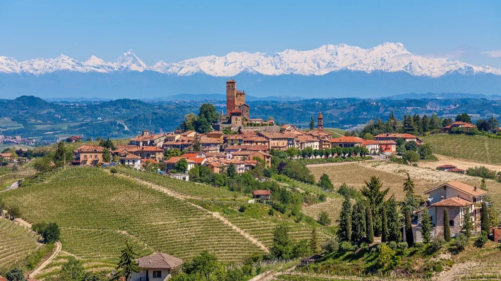 Barbera d'Alba