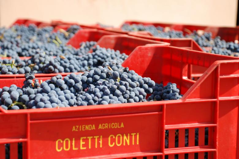Coletti Conti
