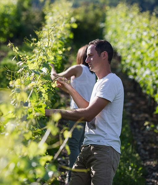 Domaine Vendage