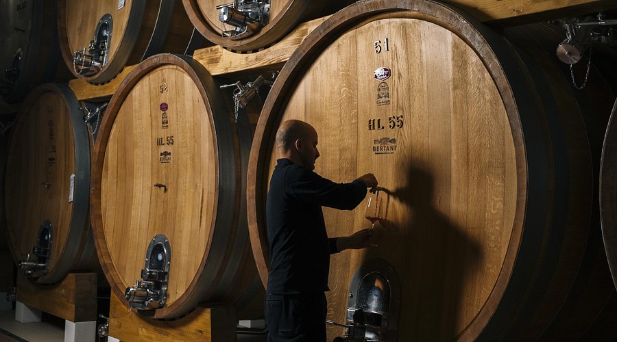 Bertani