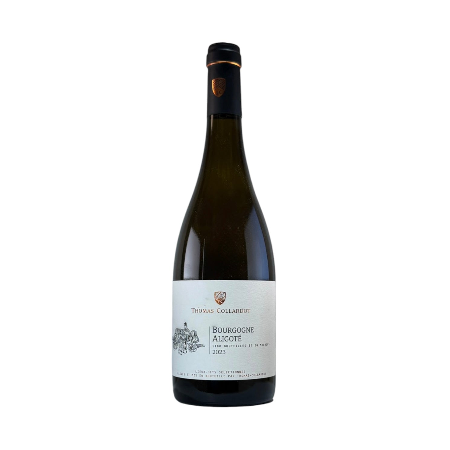 Bourgogne Aligoté • Thomas Collardot