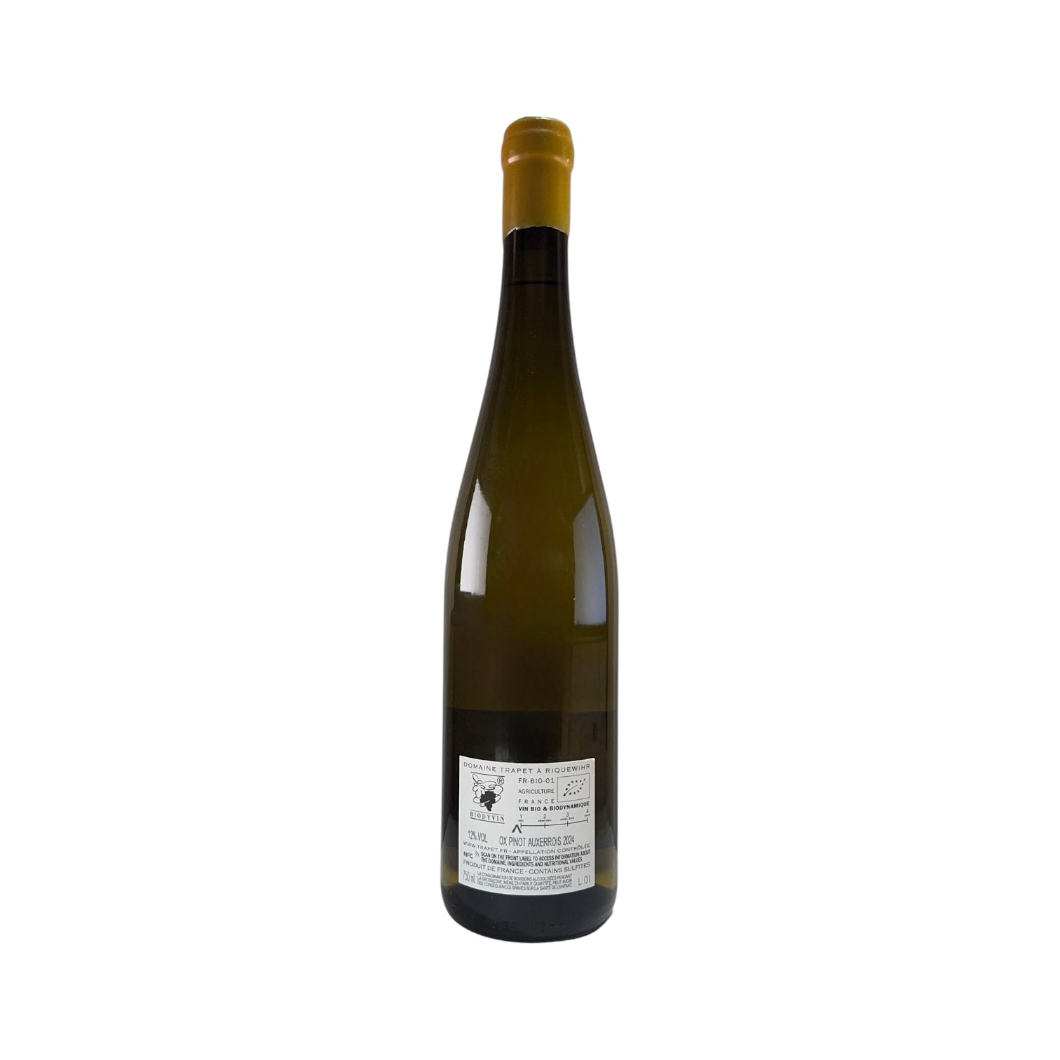 Pinot Auxerrois 'Ox' • 2024