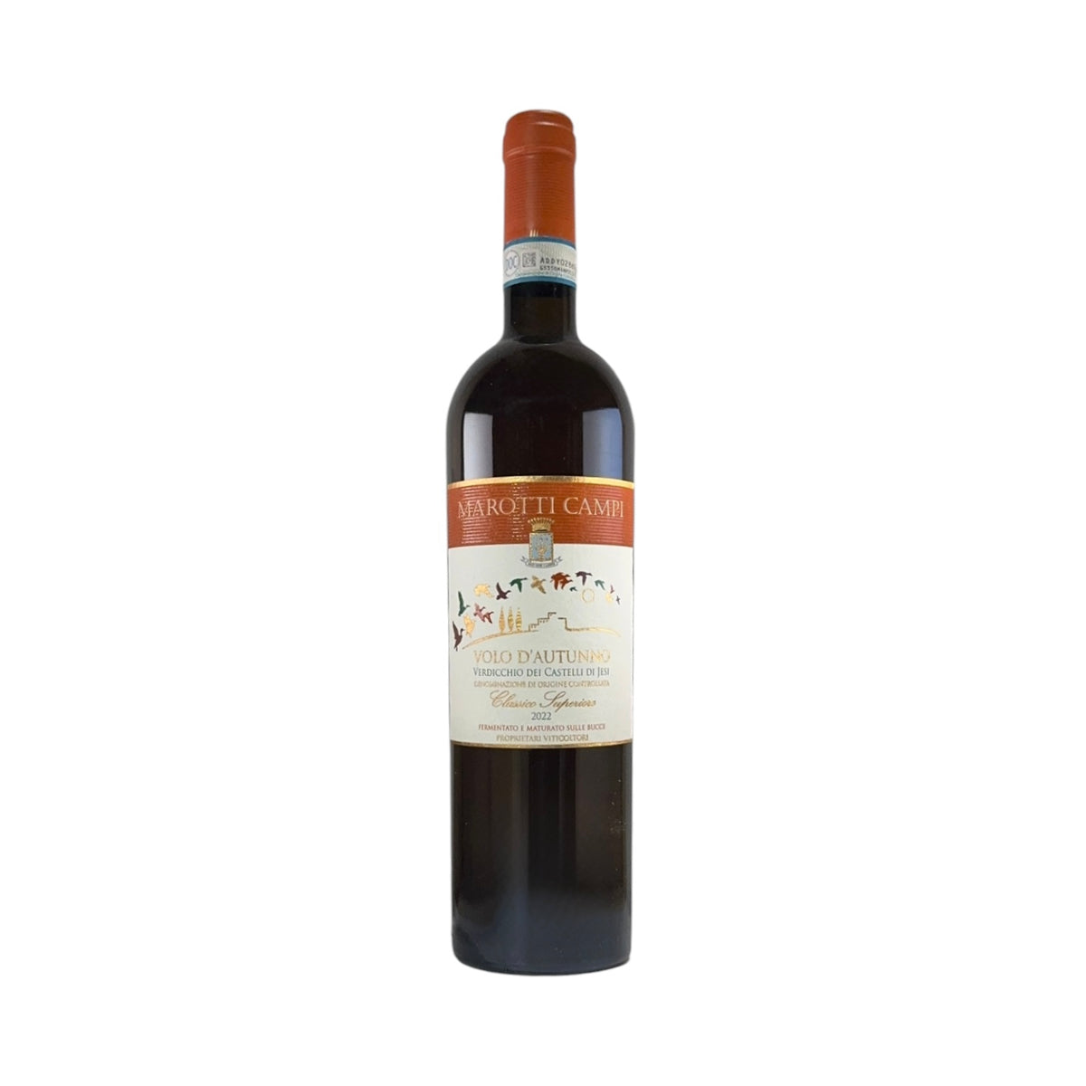 Marotti Campi VOLO D'AUTUNNO