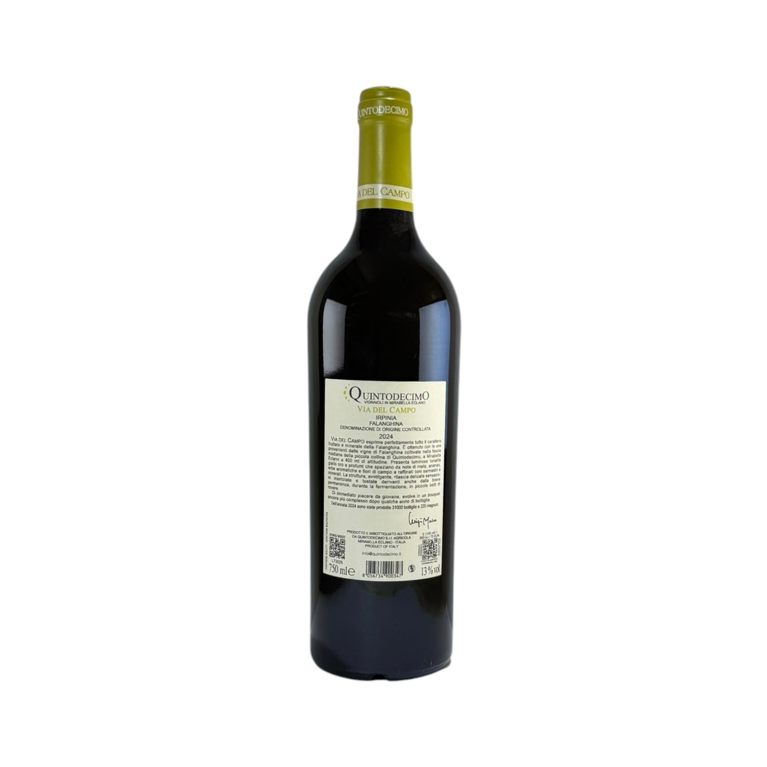 Quintodecimo 'Via del Campo' • 2024